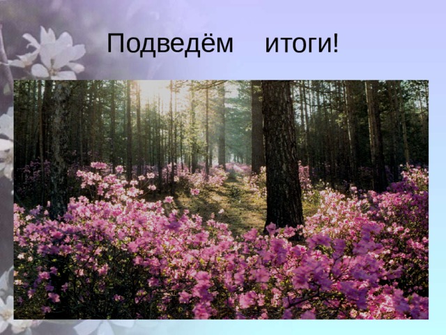Подведём итоги! 
