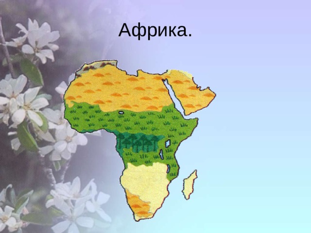 Африка. 