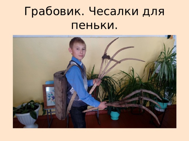 Грабовик. Чесалки для пеньки. 