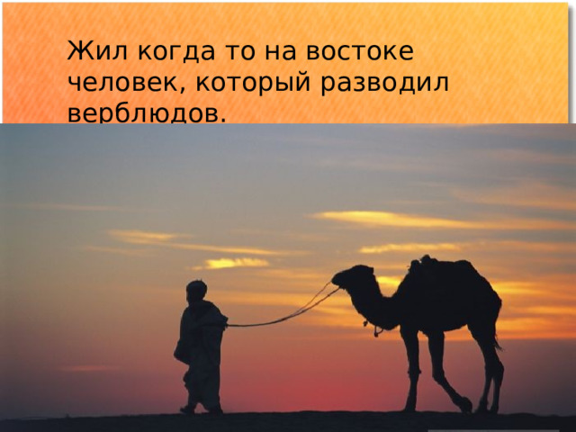 Жил когда то на востоке человек, который разводил верблюдов. 
