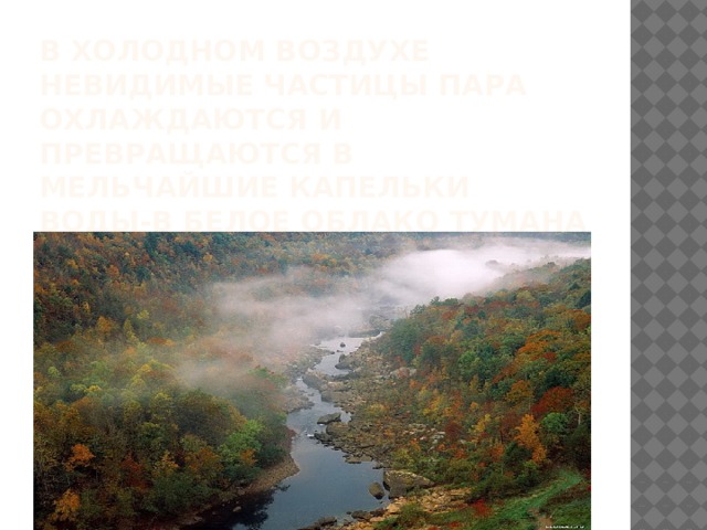 В холодном воздухе невидимые частицы пара охлаждаются и превращаются в мельчайшие капельки воды-в белое облако тумана 