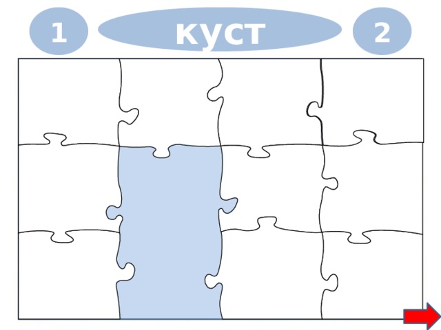1 2 куст 