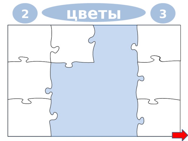 2 3 цветы 