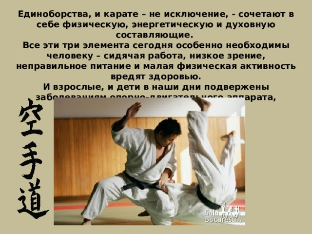 Единоборства, и карате – не исключение, - сочетают в себе физическую, энергетическую и духовную составляющие.  Все эти три элемента сегодня особенно необходимы человеку – сидячая работа, низкое зрение, неправильное питание и малая физическая активность вредят здоровью. И взрослые, и дети в наши дни подвержены заболеваниям опорно-двигательного аппарата, сосудистой системы, ожирению. 