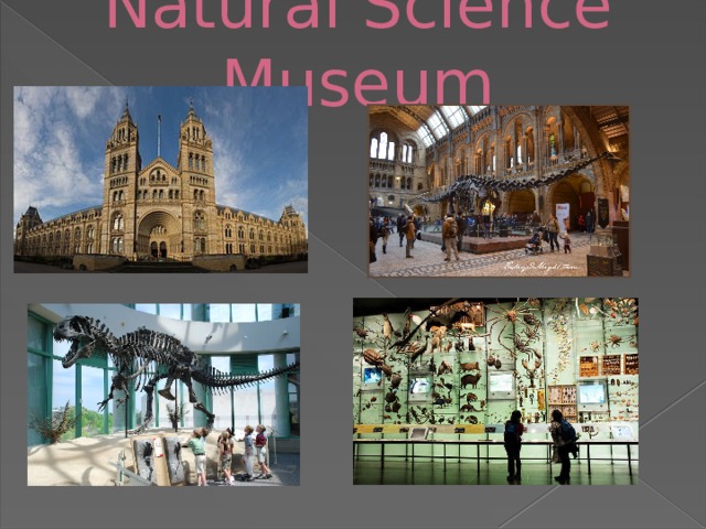 Natural Science Museum 