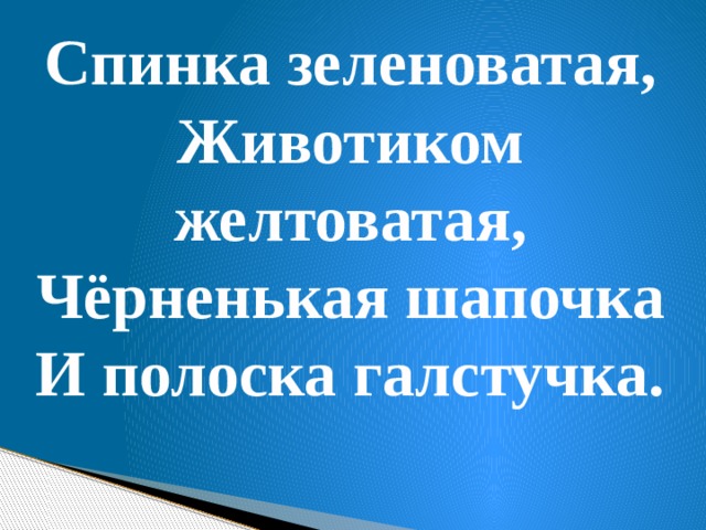 Спинка зеленоватая, Животиком желтоватая, Чёрненькая шапочка И полоска галстучка. 