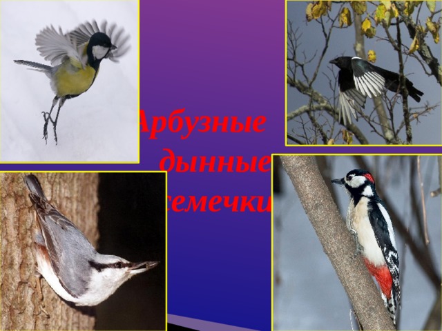 Арбузные и дынные семечки 