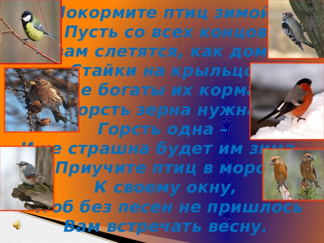 Покормите птиц зимой! Пусть со всех концов К вам слетятся, как домой, Стайки на крыльцо. Не богаты их корма. Горсть зерна нужна, Горсть одна – И не страшна будет им зима… Приучите птиц в мороз К своему окну, Чтоб без песен не пришлось Вам встречать весну. 