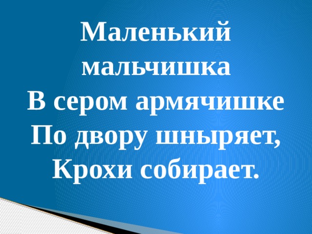 Маленький мальчишка В сером армячишке По двору шныряет, Крохи собирает. 