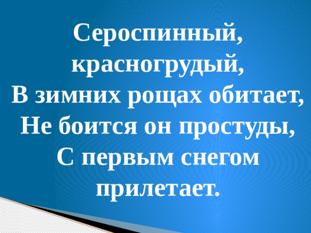Сероспинный, красногрудый, В зимних рощах обитает, Не боится он простуды, С первым снегом прилетает. 