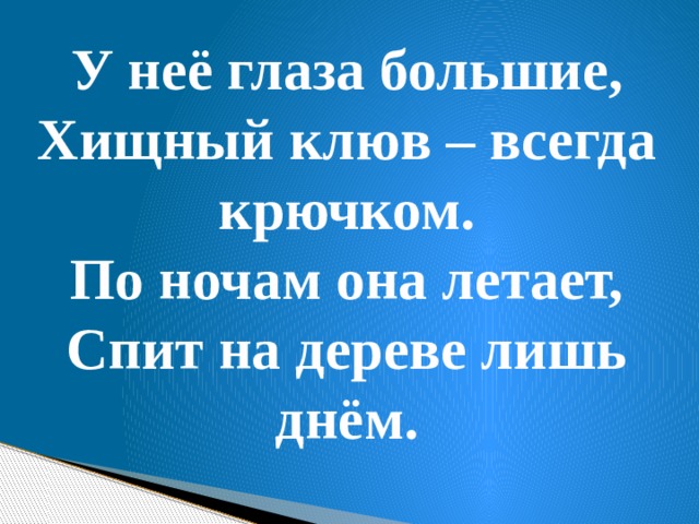 У неё глаза большие, Хищный клюв – всегда крючком. По ночам она летает, Спит на дереве лишь днём. 