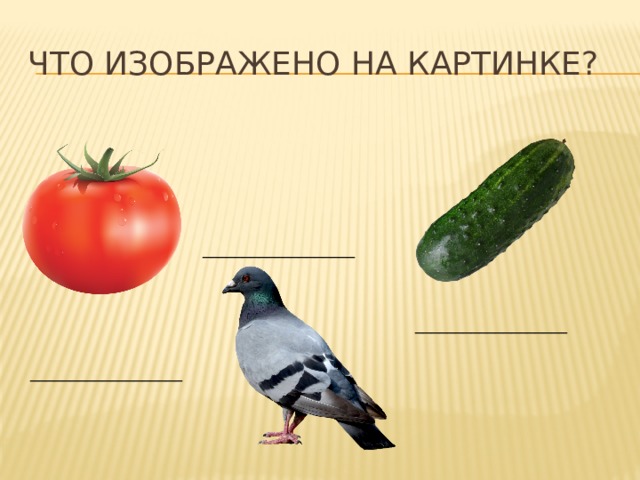что изображено на картинке? ___________________ ___________________ ___________________ 