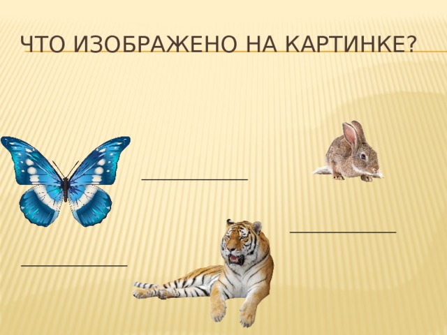 что изображено на картинке? ___________________ ___________________ ___________________ 