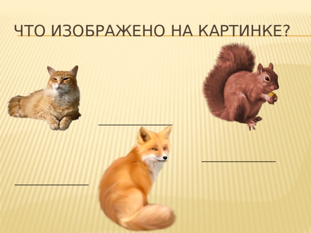 что изображено на картинке? ___________________ ___________________ ___________________ 