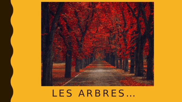 Les arbres… 