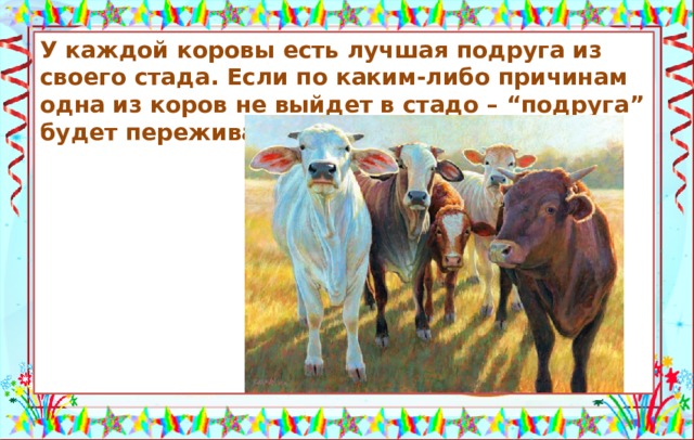 У каждой коровы есть лучшая подруга из своего стада. Если по каким-либо причинам одна из коров не выйдет в стадо – “подруга” будет переживать.          У каждой коровы есть лучшая подруга. Источники: https://s3.amazonaws.com/fineartimages.dailypaintworks.com/auction_27e6e39d-4239-49d5-81f8-61c82bf5a259.jpg?imageVersion=1 http://www.filipoc.ru/interesting/25-interesnyih-faktov-obo-vsЁm-na-svete  