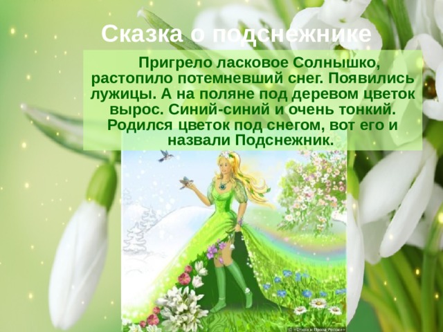 Сказка о подснежнике  Пригрело ласковое Солнышко, растопило потемневший снег. Появились лужицы. А на поляне под деревом цветок вырос. Синий-синий и очень тонкий. Родился цветок под снегом, вот его и назвали Подснежник. 