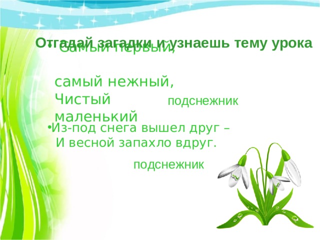 Отгадай загадки и узнаешь тему урока  Самый первый, самый нежный,  Чистый маленький   подснежник Из-под снега вышел друг –  И весной запахло вдруг. подснежник 