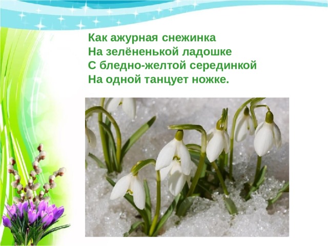 Как ажурная снежинка  На зелёненькой ладошке  С бледно-желтой серединкой  На одной танцует ножке. 