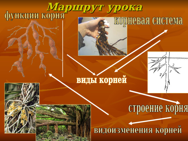 Маршрут урока 