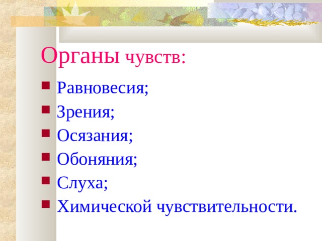 Органы чувств: Равновесия; Зрения; Осязания; Обоняния; Слуха; Химической чувствительности. 