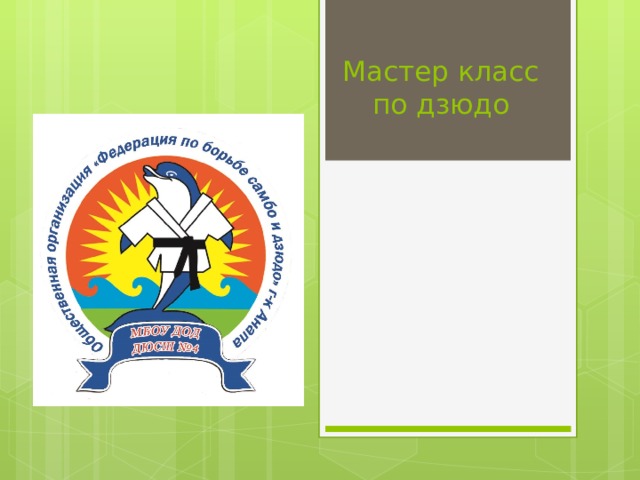 Мастер класс по дзюдо 