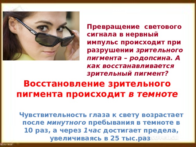Превращение светового сигнала в нервный импульс происходит при разрушении зрительного пигмента – родопсина. А как восстанавливается зрительный пигмент? Восстановление зрительного пигмента происходит в темноте Чувствительность глаза к свету возрастает после минутного пребывания в темноте в 10 раз, а через 1час достигает предела, увеличиваясь в 25 тыс.раз  5 