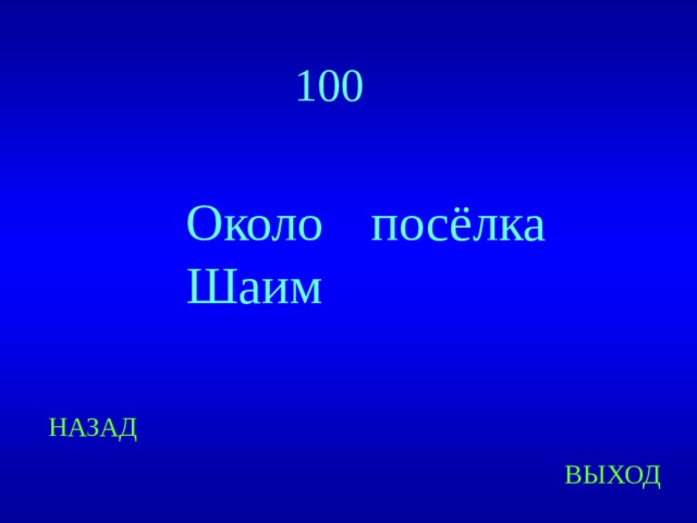 100 Около посёлка Шаим НАЗАД ВЫХОД 