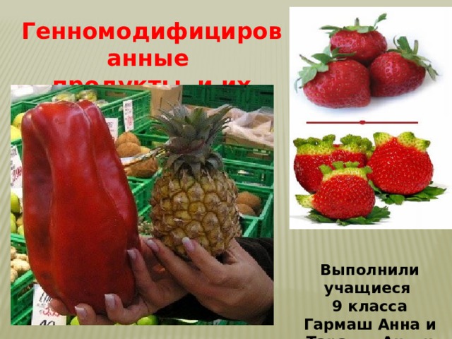 Генномодифицированные продукты и их значение Выполнили учащиеся 9 класса Гармаш Анна и Тарасов Антон 