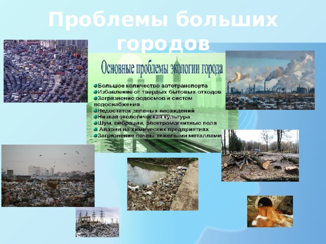 Проблемы больших городов 
