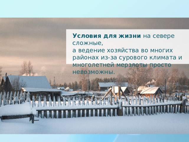 Условия для жизни на севере сложные, а ведение хозяйства во многих районах из-за сурового климата и многолетней мерзлоты просто невозможны. 
