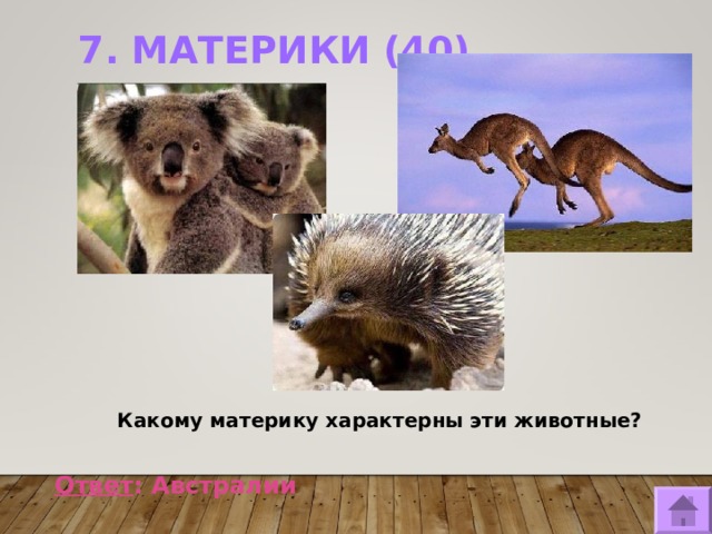 7. МАТЕРИКИ (40)     Какому материку характерны эти животные?  Ответ : Австралии  