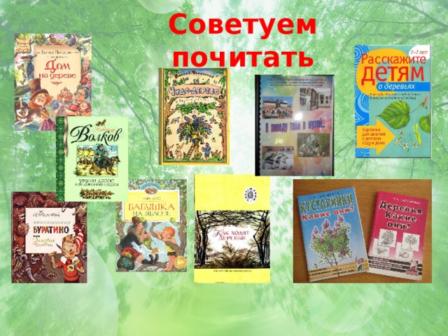 Советуем почитать 