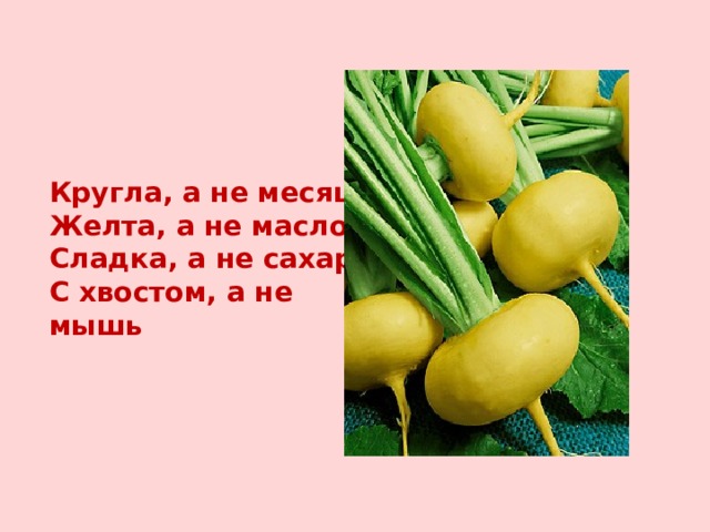 Кругла, а не месяц,  Желта, а не масло,  Сладка, а не сахар,  С хвостом, а не мышь 
