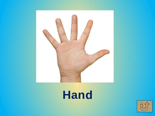 Hand 