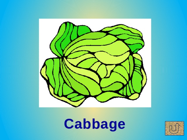 Cabbage 