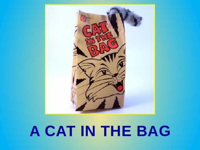 A CAT IN THE BAG 