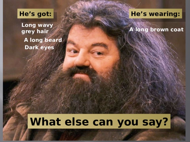 He’s got: He’s wearing: Long wavy grey hair A long brown coat A long beard Dark eyes What else can you say? 
