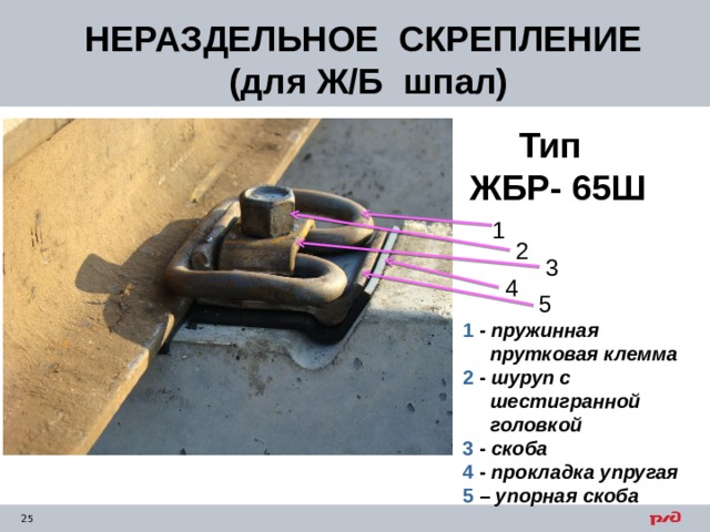 НЕРАЗДЕЛЬНОЕ СКРЕПЛЕНИЕ  (для Ж/Б шпал)  Тип  ЖБР- 65Ш  1 2 3 4 5 1 - пружинная  прутковая клемма  2 - шуруп с  шестигранной  головкой  3 - скоба  4 - прокладка упругая  5 – упорная скоба   