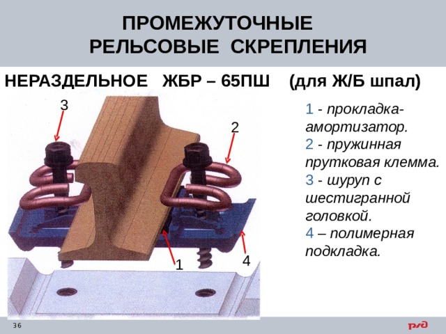 ПРОМЕЖУТОЧНЫЕ РЕЛЬСОВЫЕ СКРЕПЛЕНИЯ           НЕРАЗДЕЛЬНОЕ  ЖБР – 65ПШ (для Ж/Б шпал) 3 1 - прокладка-амортизатор.  2 - пружинная прутковая клемма.  3 - шуруп с шестигранной головкой.  4 – полимерная подкладка.   2 4 1 