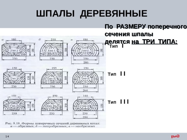 ШПАЛЫ ДЕРЕВЯННЫЕ  По РАЗМЕРУ поперечного сечения шпалы делятся на ТРИ ТИПА:   Тип   I Тип   I I Тип   I I I 