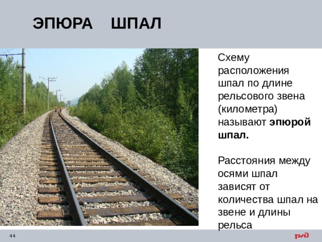 ЭПЮРА ШПАЛ Схему расположения шпал по длине рельсового звена (километра) называют эпюрой шпал.  Расстояния между осями шпал зависят от количества шпал на звене и длины рельса 