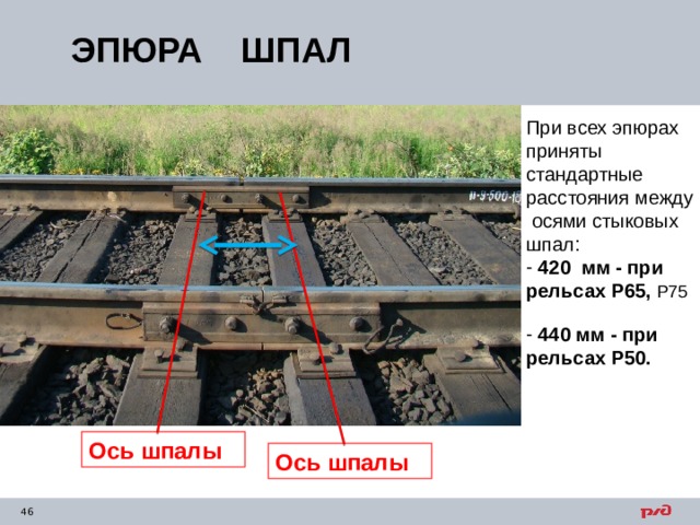 ЭПЮРА ШПАЛ При всех эпюрах приняты стандартные расстояния между осями стыковых шпал:  420 мм - при рельсах Р65, Р75   440 мм - при рельсах Р50.  Ось шпалы Ось шпалы 