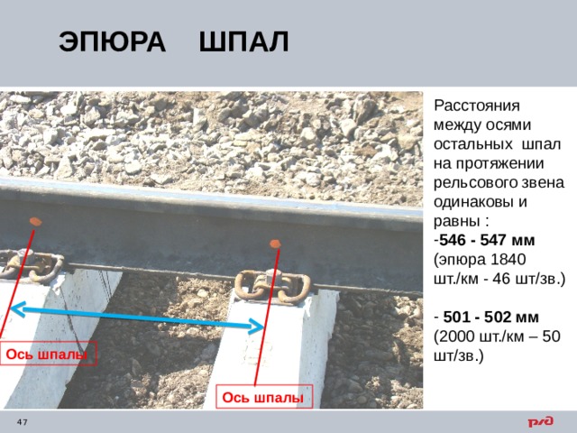 ЭПЮРА ШПАЛ Расстояния между осями остальных шпал на протяжении рельсового звена одинаковы и равны : 546 - 547 мм (эпюра 1840 шт./км - 46 шт/зв.)  501 - 502 мм (2000 шт./км – 50 шт/зв.) Ось шпалы Ось шпалы 