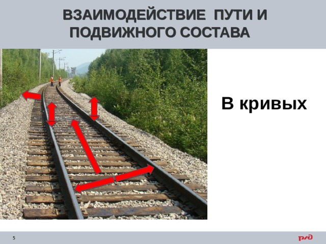 ВЗАИМОДЕЙСТВИЕ ПУТИ И ПОДВИЖНОГО СОСТАВА В кривых 