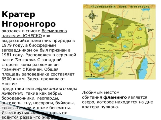 Кратер Нгоронгоро   оказался в списке  Всемирного наследия ЮНЕСКО  как выдающийся памятник природы в 1979 году, а биосферным заповедником он был признан в 1981 году. Расположен в серенной части  Танзании . С западной стороны зоны разломов он граничит с Кенией. Общая площадь заповедника составляет 6500 кв.км. Здесь проживают многие представители  африканского мира животных , такие как зебры, бородавочники, леопарды, антилопы гну, носороги, буйволы, слоны, газели и даже бегемоты. Из-за крутых склонов здесь не водится разве что жираф. Любимым местом обитания  фламинго  является озеро, которое находится на дне кратера вулкана.   