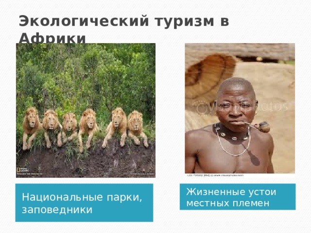 Экологический туризм в Африки Национальные парки, заповедники Жизненные устои местных племен 