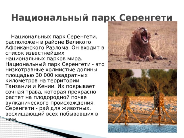 Национальный парк Серенгети Национальных парк Серенгети, расположен в районе Великого Африканского Разлома. Он входит в список известнейших национальных парков мира. Национальный парк Серенгети - это низкотравные холмистые долины площадью 30 000 квадратных километров на территории Танзании и Кении. Их покрывает сочная трава, которая прекрасно растет на плодородной почве вулканического происхождения. Серенгети - рай для животных, восхищающий всех побывавших в нем. 