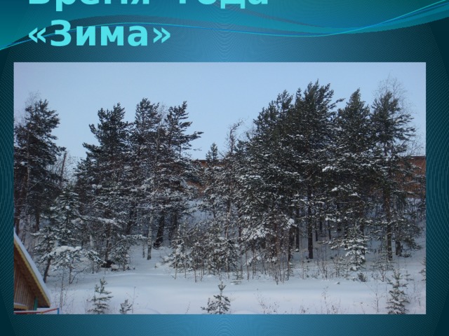 Время года «Зима» 