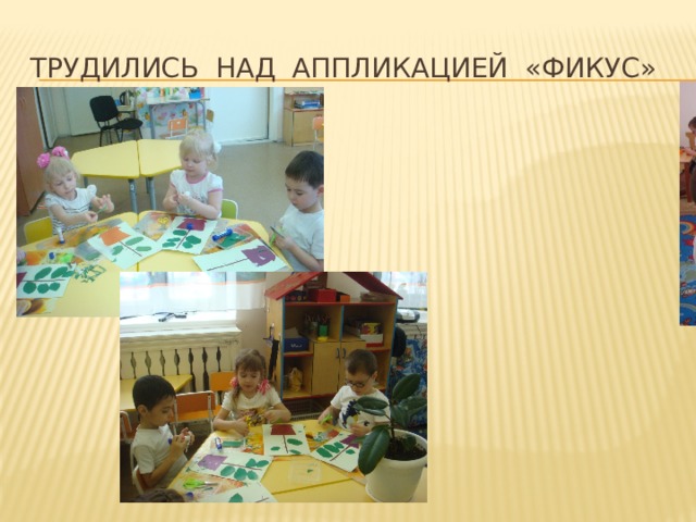 Трудились над аппликацией «Фикус» 